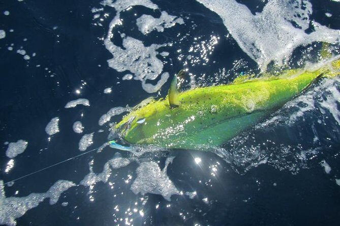 Deep Sea Fishing for 5 Hours from Cabo San Lucas - Comfort at Sea: Motion, Fumes, and the Real Meaning of 5 Hours