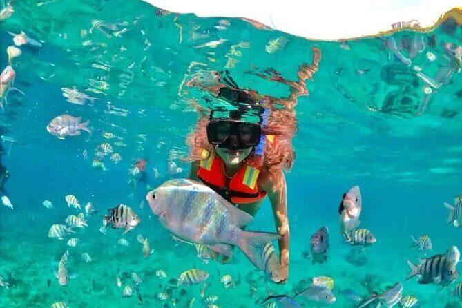 Deluxe Catamaran to Isla Mujeres with Open Bar from Cancun - Transportation and meeting points: the start time can make or break your day
