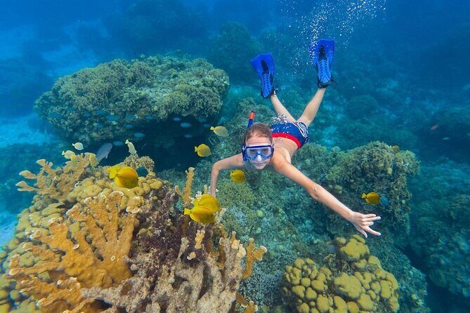 Deluxe Catamaran Tour to Isla Mujeres, Drinks, Snorkeling, Buffet - Isla Mujeres Free Time: What You Can Do With It