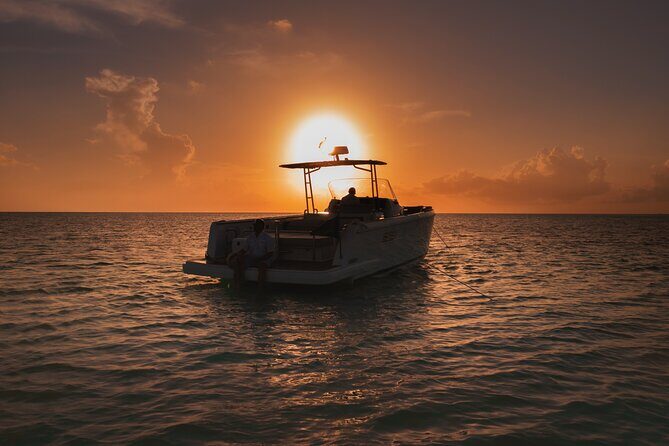 Deluxe Private Boats - 36 ft Fjord - Premium Drinks and Fresh Lunch on Board