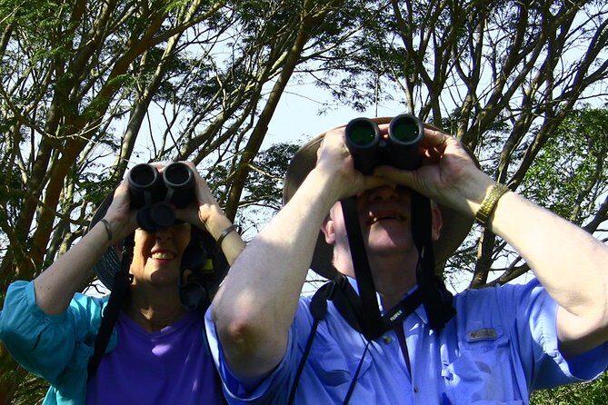 Desembocada and Ameca River Bird Paradise (Wetland and Tropical birds in PV) - What You’ll Get Versus What You Need to Handle