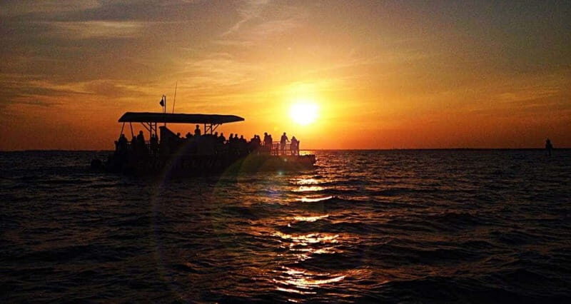 Destin: Dolphin Watching Cruise - Key highlights worth your attention