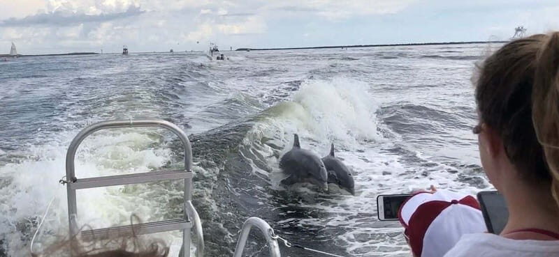 Destin: Dolphin Watching Cruise - Tips to improve your odds (and make the ride more pleasant)