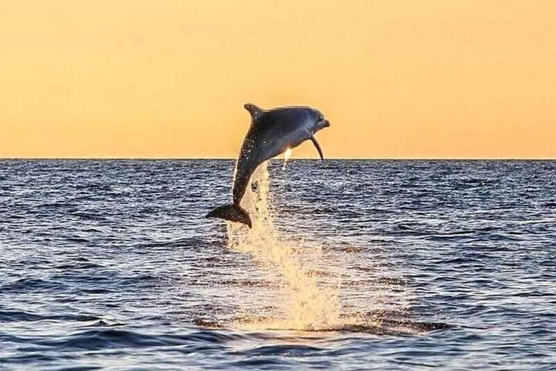 Destin: Dolphin Watching Cruise - The first leg: cruising Destin Harbor like you’re reading a postcard