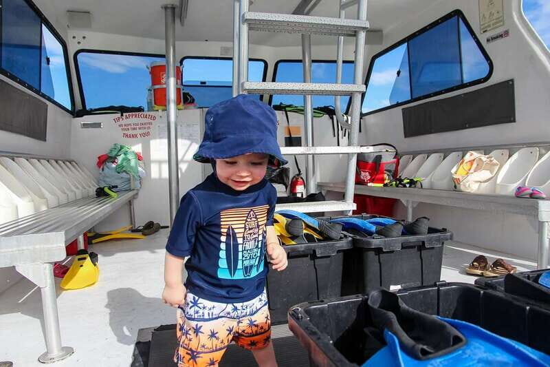 Destin: Dolphin Watching Cruise - Wildlife you might spot: dolphins are the main event