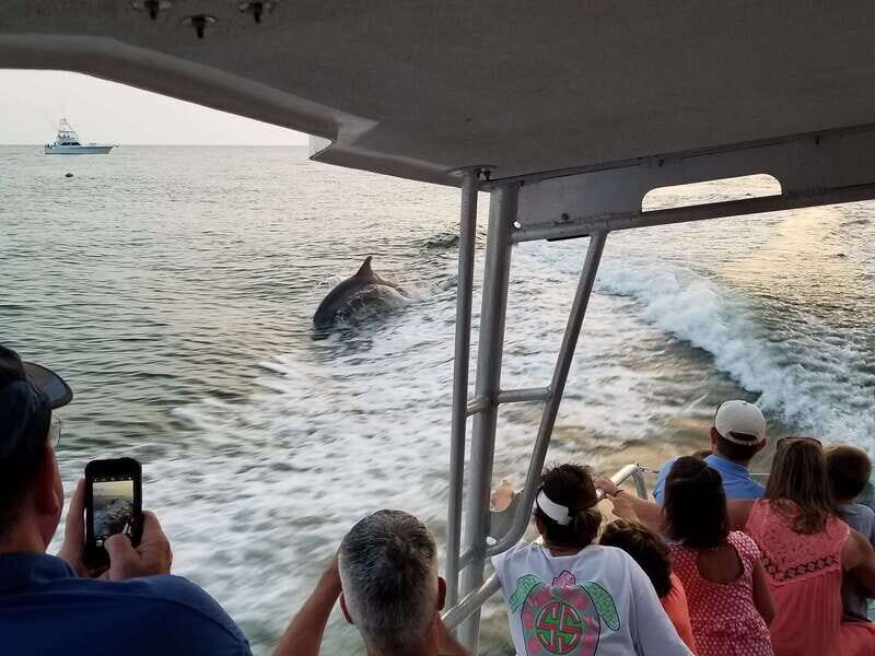 Destin: Dolphin Watching Cruise - The captain and crew factor: what matters beyond the boat