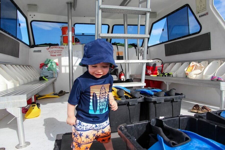 Destin: Dolphin Watching Cruise - Itinerary in plain English: what happens, start to finish