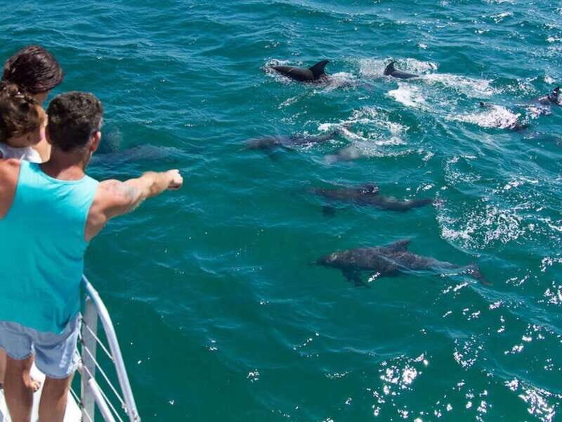 Destin: Dolphin Watching Cruise - Meeting the crew at Harbor Blvd (and parking without stress)