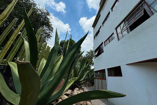 Diego Rivera Frida Kahlo Studio House Tour - How the 1.5-Hour Flow Actually Feels on the Ground