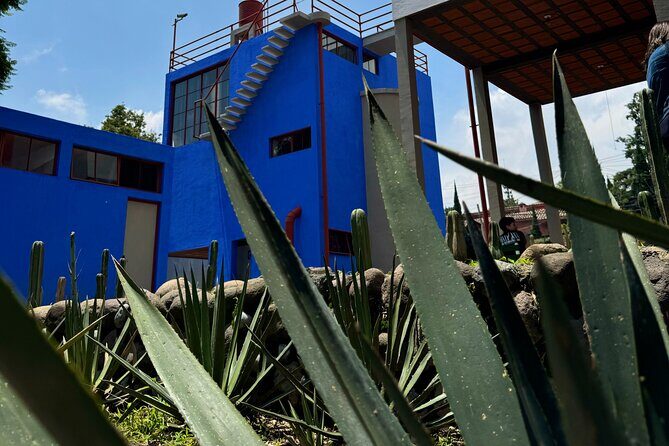 Diego Rivera Frida Kahlo Studio House Tour - Frida’s House: Personal Items, Intimate Layout, and Daily-Life Cues