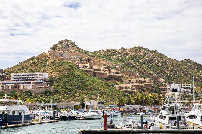 Dinner Cruise Tour in Cabo San Lucas with Tequila Tasting - What you’ll see offshore: Medano Beach, Land’s End, and possible marine life