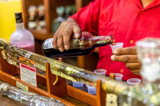 Dinner Cruise Tour in Cabo San Lucas with Tequila Tasting - Pickup timing and managing a full half-day schedule