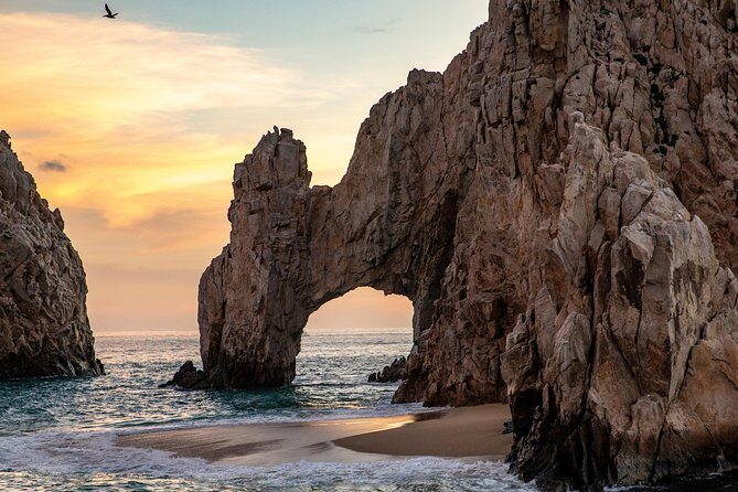 Dinner Cruise Tour in Cabo San Lucas with Tequila Tasting - Price and value at $135: when it’s a good deal and when it isn’t