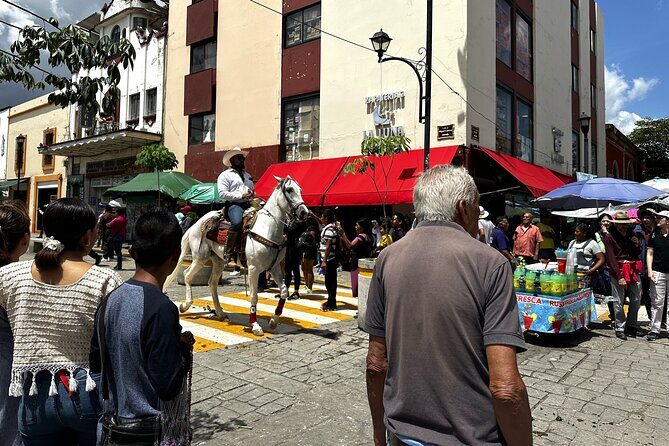 Discover Authentic Mexican Flavors on Oaxaca Food Tour - Timing, walking pace, and group dynamics (the real-life stuff)