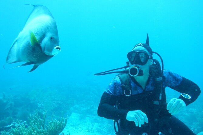 Discover Scuba - Stop 1 at the reef park: where the scenery payoff happens