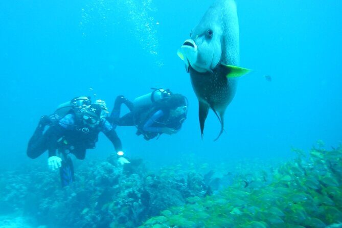 Discover Scuba - Instructor attention in tiny groups: why this is more than a checklist