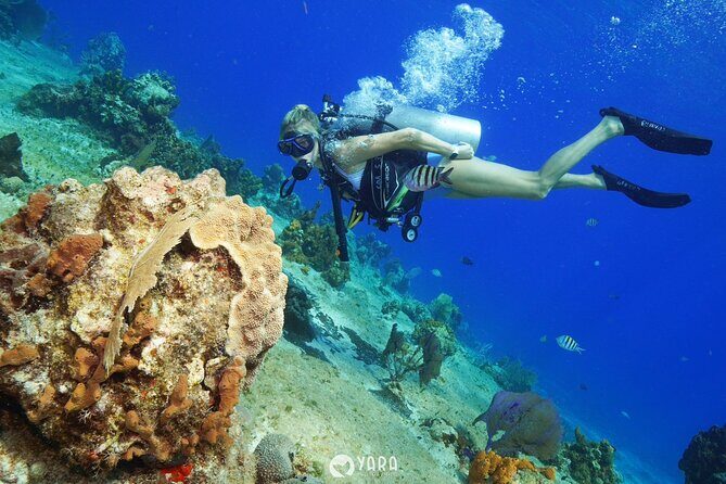 Discover Scuba Diving - Meet the Instructors: Gael, Ramon, Guillermo, and the Teaching Styles That Show Up