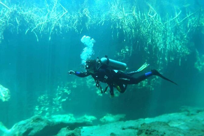 Discover Scuba Diving at Casa Cenote - Duration and Pace: Getting a Lot of Experience in About 4 Hours