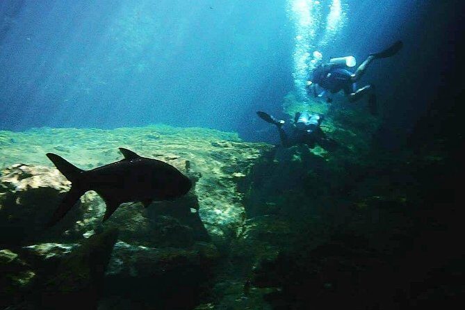 Discover Scuba Diving at Casa Cenote - Who This 4-Hour Program Suits Best (And Who Might Want to Rethink It)