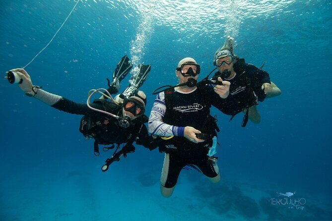 Discover Scuba Diving in Cozumel - Your One Underwater Session to About 20 Feet