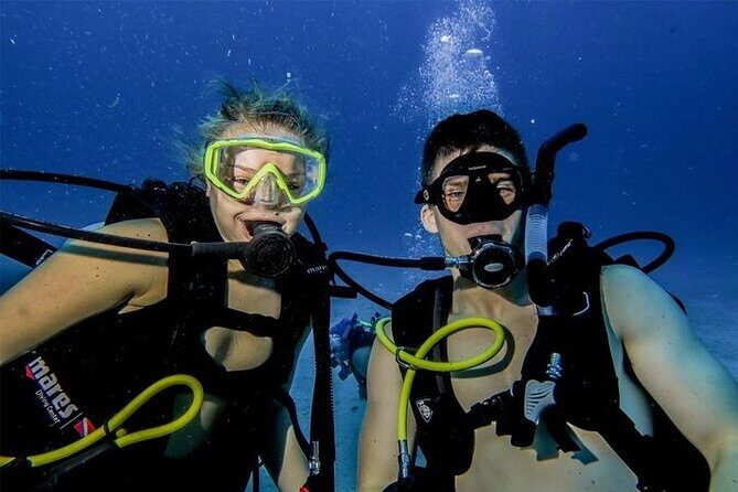 Discover Scuba Diving in Cozumel Paradise Reef - Meeting at Scuba Life Cozumel (Marina Fonatur) and How Cruise Days Work