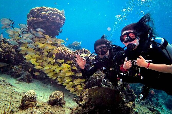 Discover Scuba Diving in Cozumel Paradise Reef - First Boat Ride to Paradise (Paraiso) Reef: Shallow Beach Skills