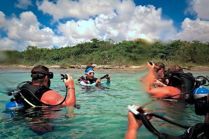 Discover Scuba Diving in Cozumel Paradise Reef - First Underwater Session at Paradise Shallows (About 30–45 Minutes)