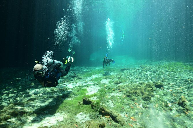 Discover Scuba Diving in Tulum - First-Timer Scuba Session in Tulum Cenotes: The 5-Hour Flow