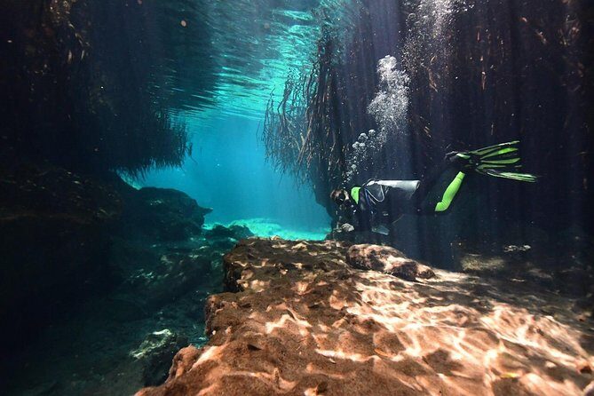 Discover Scuba Diving in Tulum - Casa Cenote Underwater: Crystal Light, Mangroves, and Wildlife Moments