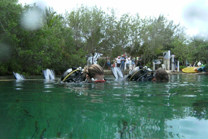 Discover Scuba Diving in Tulum - Guide Style Makes the Difference: Alex, Alan, Liz, and Adiel