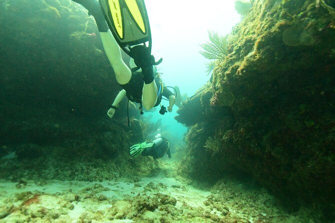 Discover Scuba Diving in Tulum - Timing Tips That Actually Help: Eat First