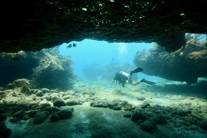 Discover Scuba Diving in Tulum - Start at Agua Clara Diving: Getting Ready Without Hotel Pickup