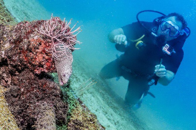 Discover Scuba experience at Las Caletas, Puerto Vallarta - Las Caletas Scuba Training: What Makes This Area Special