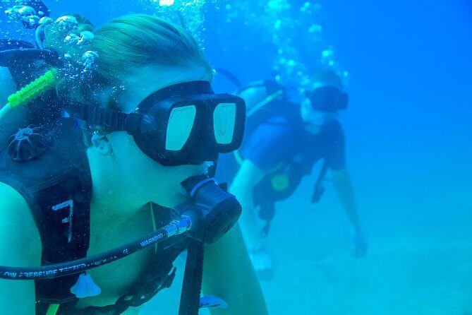 Discover Scuba experience at Las Caletas, Puerto Vallarta - The 50-Minute Boat Ride to Las Caletas