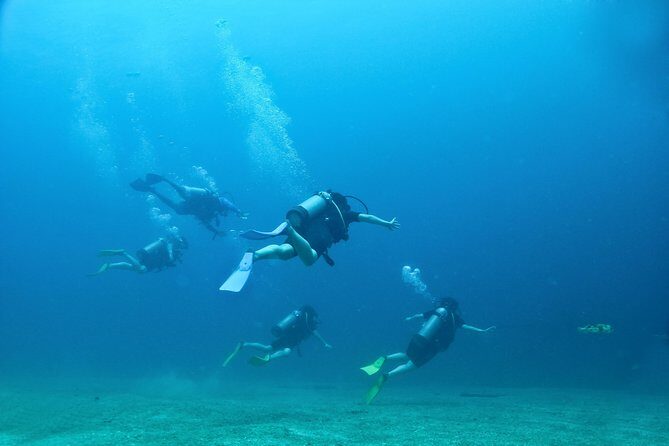 Discover Scuba experience at Las Caletas, Puerto Vallarta - Underwater Caves, Reefs, and Marine Life: What You Should Expect