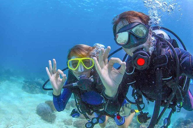 Discover Scuba experience at Las Caletas, Puerto Vallarta - Who This Is Best For (and Who Should Skip)