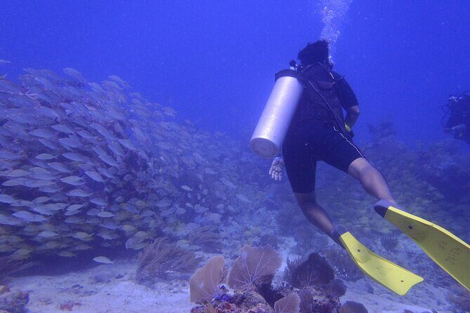 Discover Scuba - Getting ready: health questions and the real-world safety rules