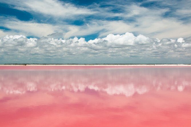 Discover the FABULOUS PINK WATERS in the Caribean - Las Coloradas Pink Water: What Controls the Color You’ll See