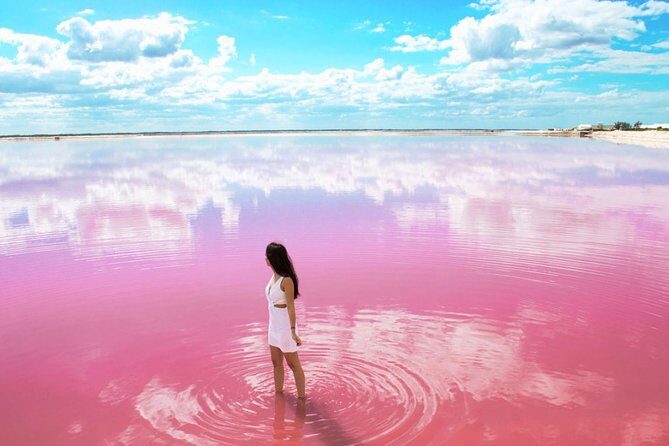 Discover the FABULOUS PINK WATERS in the Caribean - Who Should Book This Pink-Waters + Rio Lagartos Route