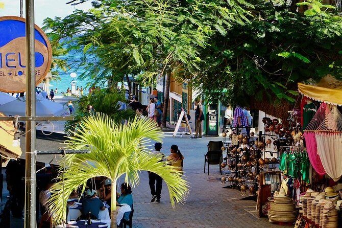 Discover Tulum, Visit Coba And Swim In A Real Mayan Cenote and Playa del carmen - Price and logistics: where the $119 actually goes