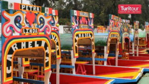Discover Xochimilco and Coyoacán: Tradition, Music, Culture - Getting there: the Turibus Tours meeting point and the coach rhythm