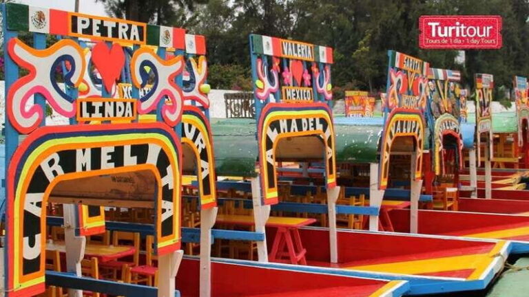Discover Xochimilco and Coyoacán: Tradition, Music, Culture - Getting there: the Turibus Tours meeting point and the coach rhythm