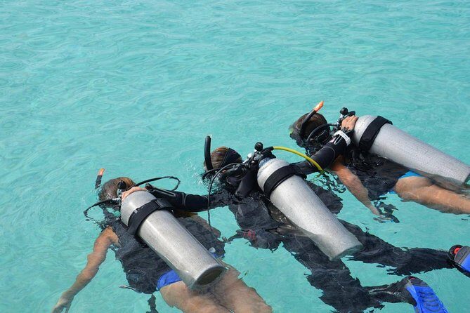 Discovery Scuba Dive. - Key Things You’ll Notice Right Away