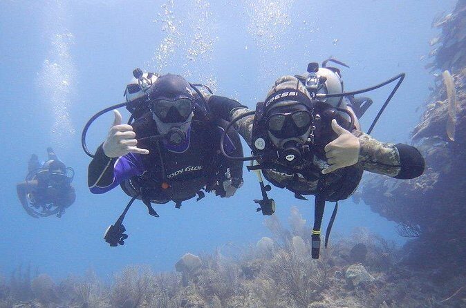 Discovery Scuba Dive. - What You’ll See Underwater: Coral, Fish, and Those Small Surprises