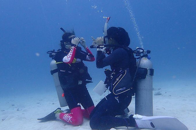 Discovery Scuba Dive. - Price and Value: How $100 Adds Up for Beginners