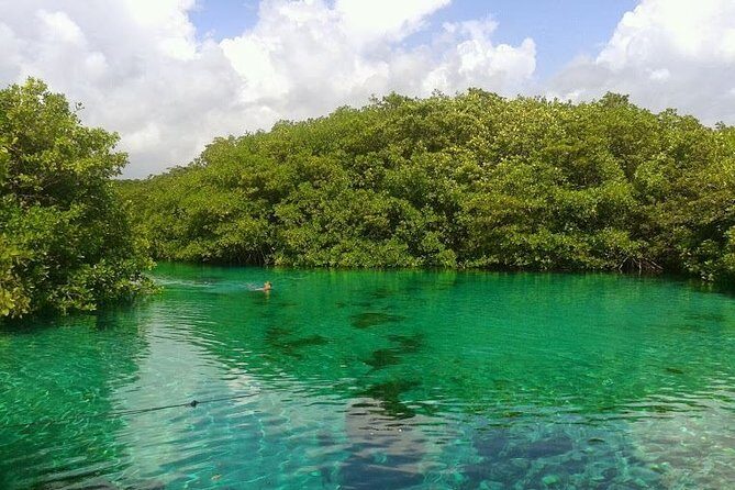 Discovery Scuba Diving - Step 2: the pool (confined water) is where you build confidence