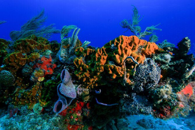 Discovery Scuba Diving !! - Weather reality near Cancun: why flexibility is part of the deal