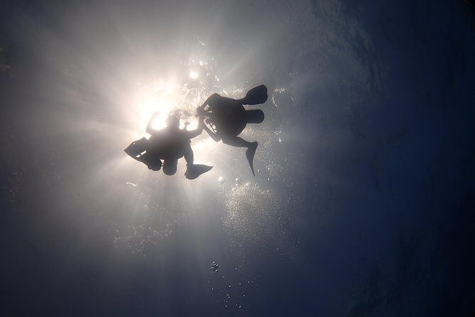 Diving in the Mexican Caribbean for Beginners | 2 Tanks 2 Dives | All Inclusive - What’s included in the price (and what to budget for)