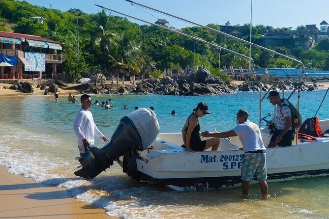 Dolphin Watching Tour - Price and Logistics: What You’re Paying For (Plus Transport Extras)