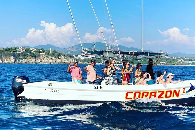 Dolphin & Whale Watching - Who this tour is best for in Puerto Escondido